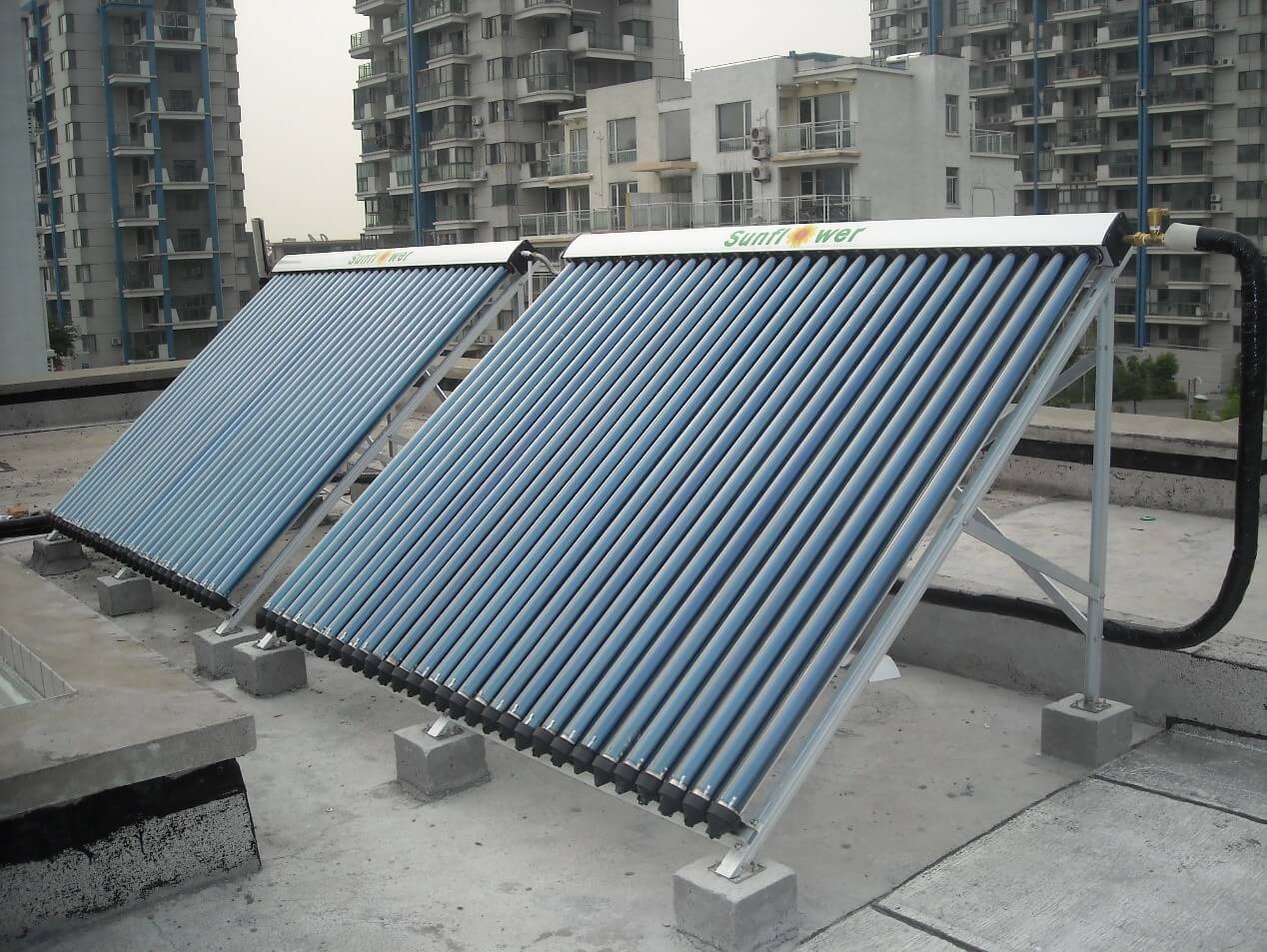 Plusieurs capteurs solaires à tubes sous vide couramment utilisés